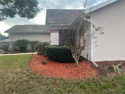 A home in Hernando