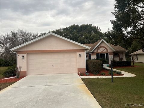 A home in Hernando