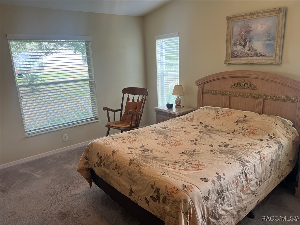 3349 E Chichester Court, Hernando, Florida image 33