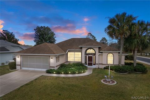 Homes For Sale - 3774 E Lake Todd Drive<br/> Hernando, FL 34442