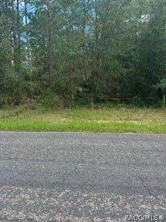 Vacant Land For Sale - 9546 N Travis Drive<br/> Citrus County, Citrus Springs, FL 34434