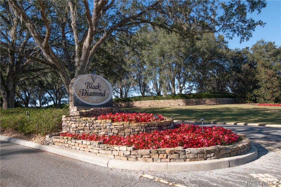Lecanto, Florida, 34461, United States, 3 Bedrooms Bedrooms, ,5 BathroomsBathrooms,Residential,Active,2028539