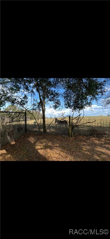 1171 N Foxrun Terrace, Inverness, Florida image 37