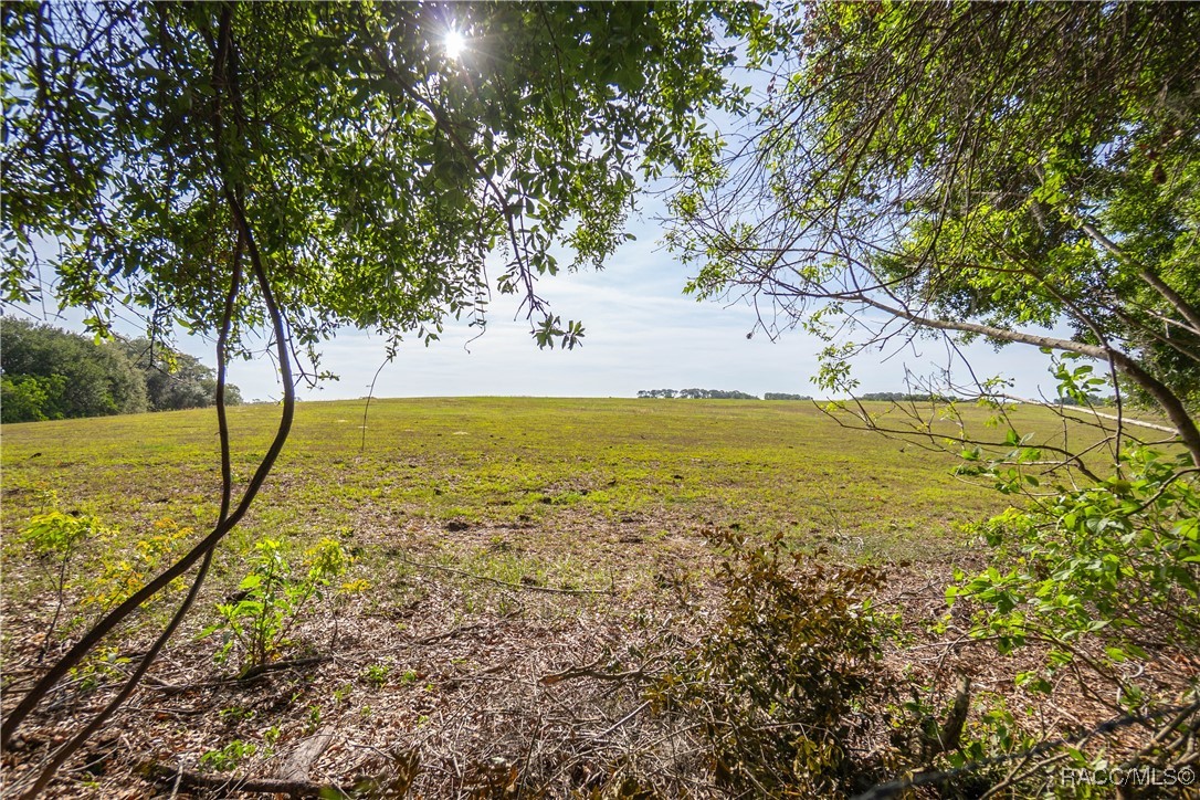 1171 N Foxrun Terrace, Inverness, Florida image 31