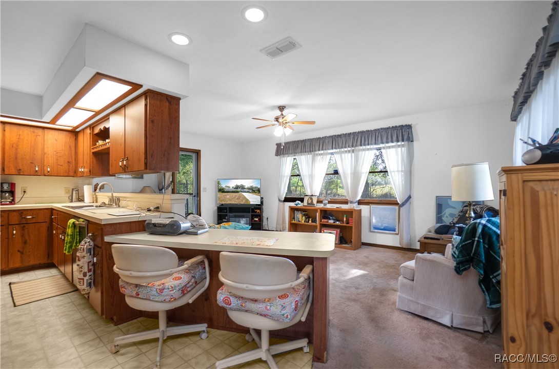 1171 N Foxrun Terrace, Inverness, Florida image 12