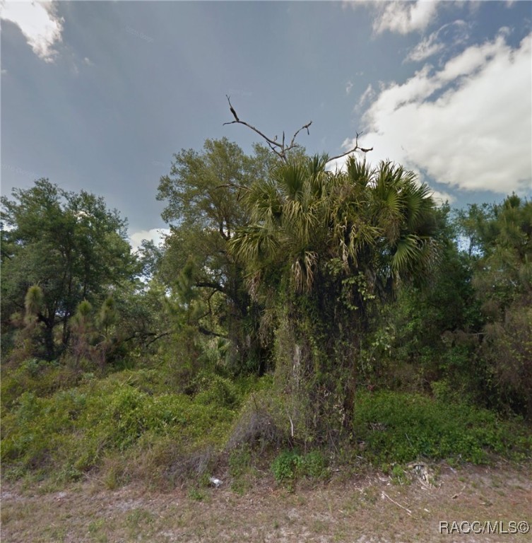 20404 Wingate Avenue, Port Charlotte, New York image 1