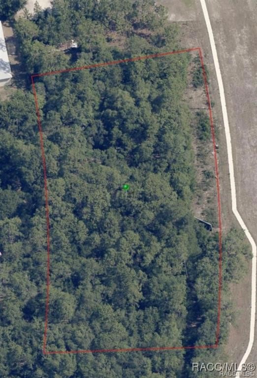 5912 S Suncoast Boulevard, Homosassa, New York image 6