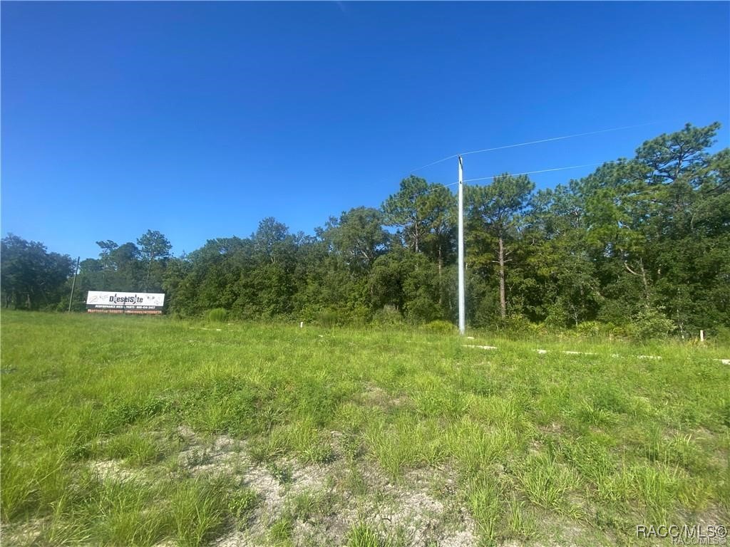 5912 S Suncoast Boulevard, Homosassa, New York image 3