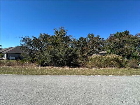 5 Nemesia Court E Homosassa FL 34446