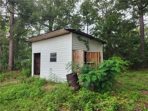 A home in Dunnellon