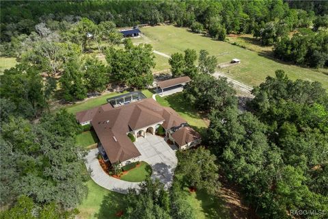 8947 W Basilico Street Crystal River FL 34428