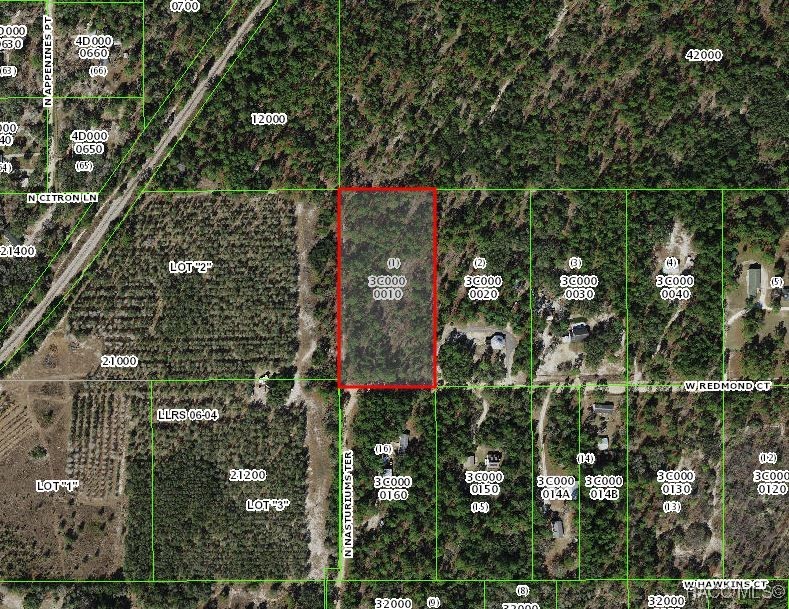 6989 W Redmond Court, Dunnellon, Florida image 1