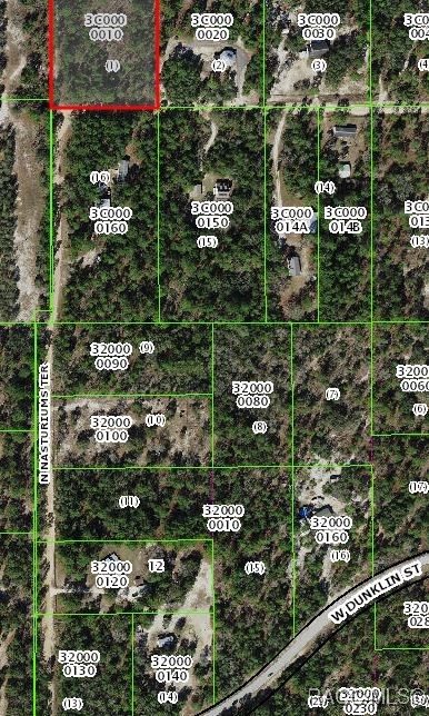 6989 W Redmond Court, Dunnellon, Florida image 3