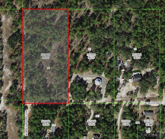 6989 W Redmond Court, Dunnellon, Florida image 2