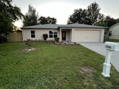 A home in Homosassa