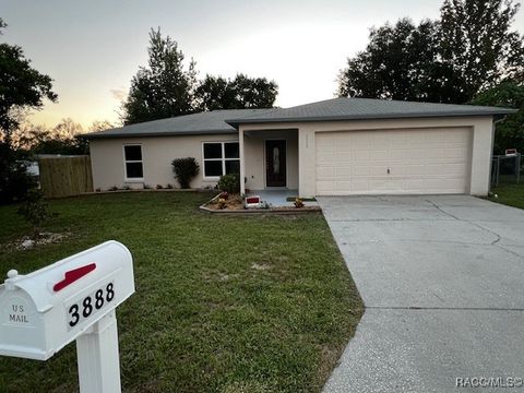 A home in Homosassa