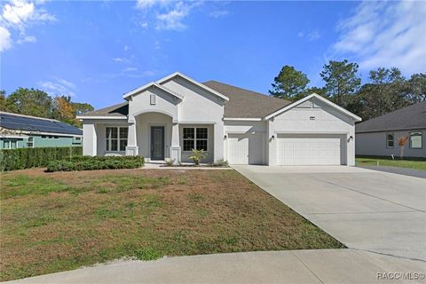 A home in Homosassa