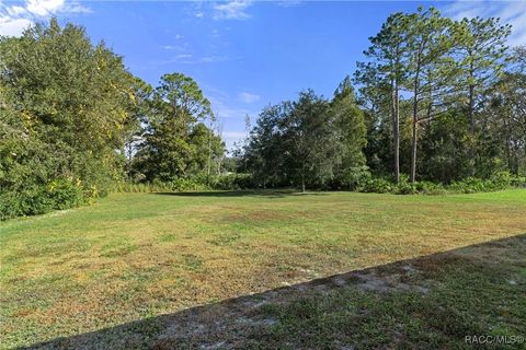 A home in Homosassa