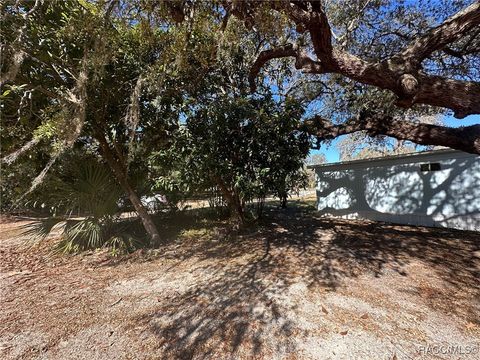 A home in Dunnellon