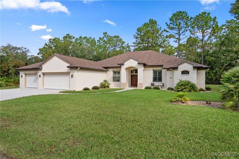 3 Snapdragons Court Homosassa FL 34446