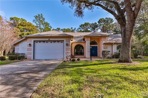 A home in Homosassa