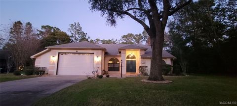 A home in Homosassa