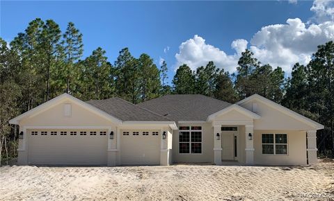 5348 N Tee Pee Drive Beverly Hills FL 34465