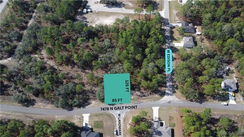 Vacant Land For Sale - 7478 N Galt Point<br/> Citrus Springs, FL 34434