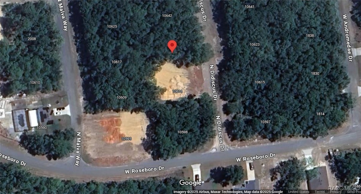 10624 N Didiscus Drive, Citrus Springs, Florida image 36