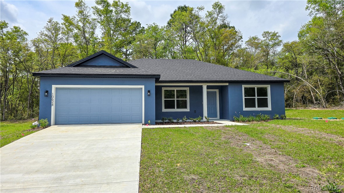 10624 N Didiscus Drive, Citrus Springs, Florida image 1