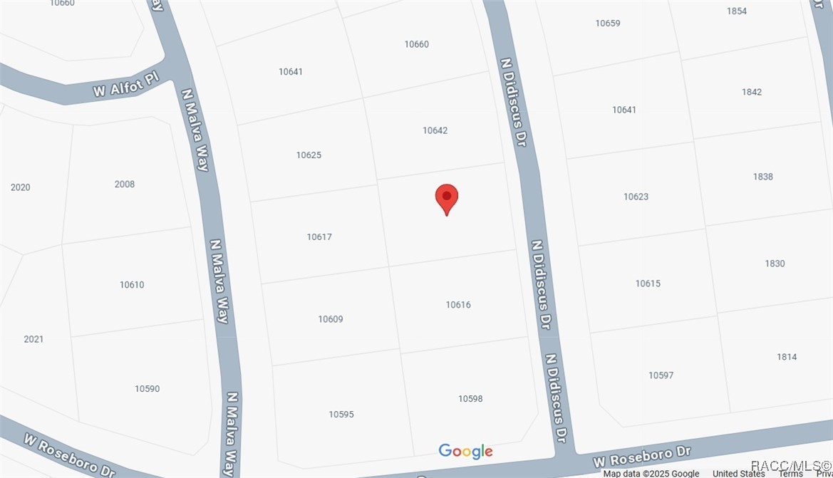 10624 N Didiscus Drive, Citrus Springs, Florida image 37