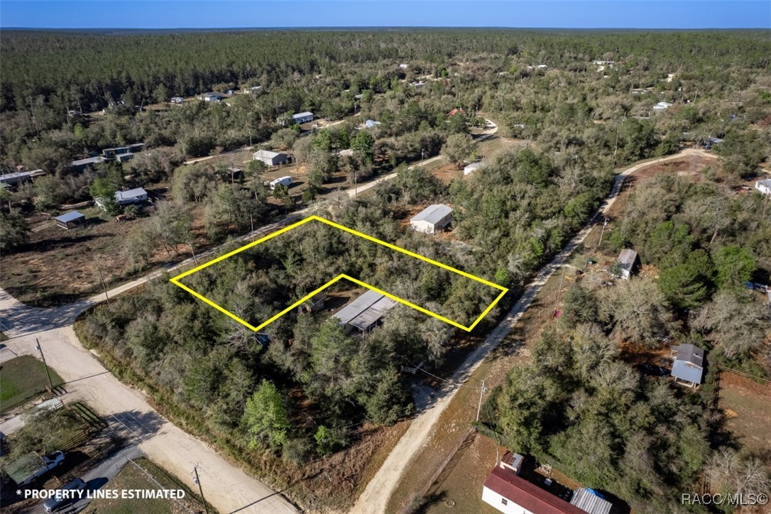 NE 134th Street, Fort McCoy, Florida image 5
