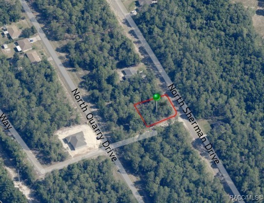 9854 N Sherman Drive, Citrus Springs, Florida image 5