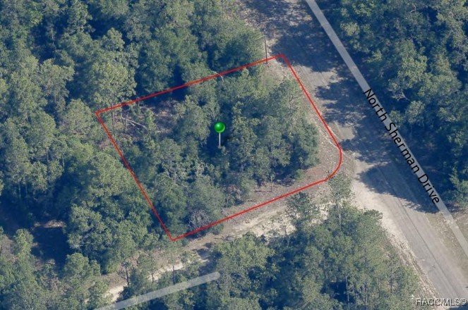 9854 N Sherman Drive, Citrus Springs, Florida image 4