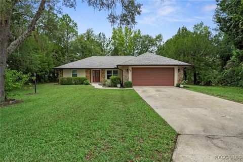 Homes For Sale - 12 Sycamore Court<br/> Homosassa, FL 34446