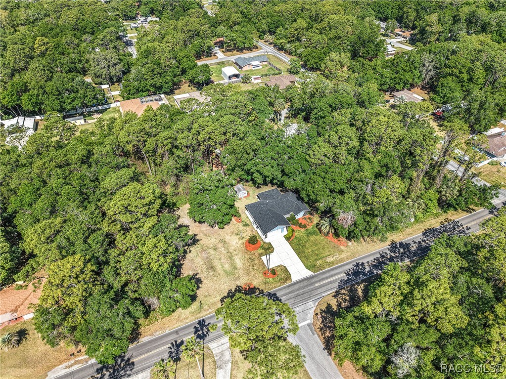 4150 S Apopka Avenue, Inverness, New York image 34