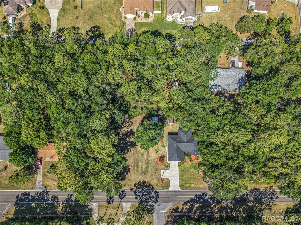 4150 S Apopka Avenue, Inverness, New York image 37