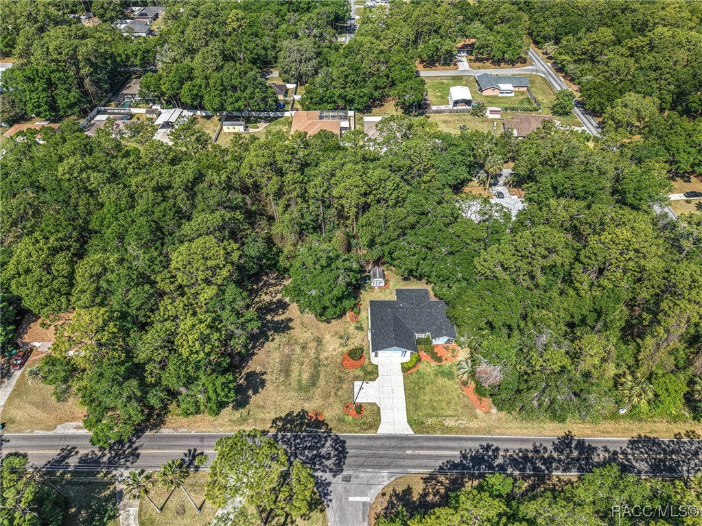 4150 S Apopka Avenue, Inverness, New York image 33