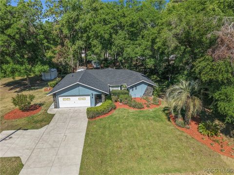 4150 S Apopka Avenue Inverness FL 34452