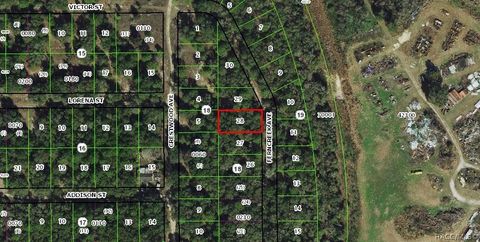 Vacant Land For Sale - 919 Ferncreek Avenue<br/> Inverness, FL 34453