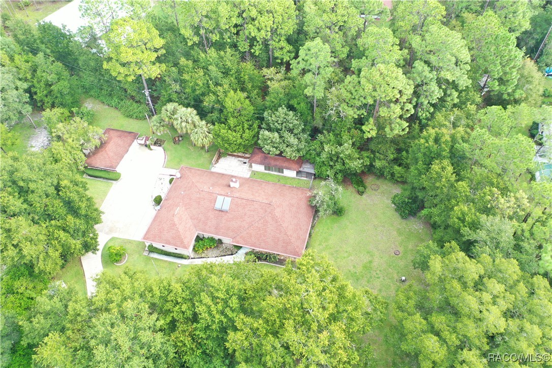 21389 SW 102cd Street, Dunnellon, Florida image 12