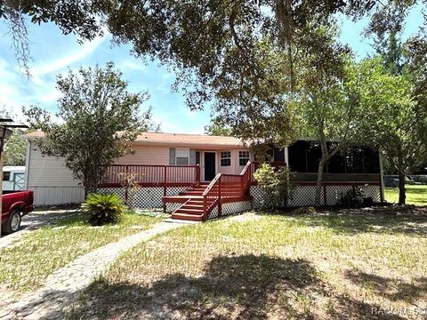 Homes For Sale - 5317 S Bayliner Point<br/> Homosassa, FL 34446