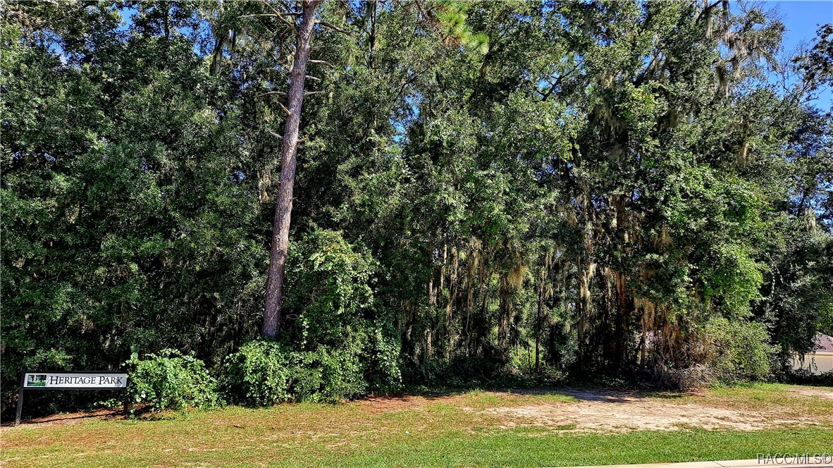 2337 N Heritage Oaks Path, Hernando, Florida image 3