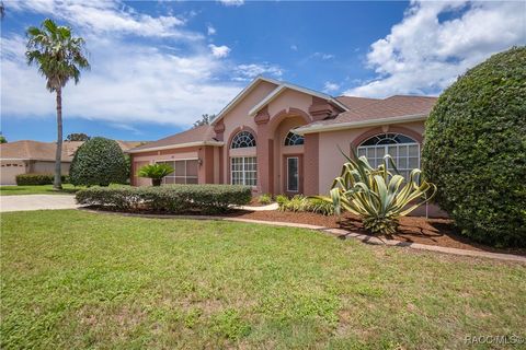 30 N Aspen Point Lecanto FL 34461