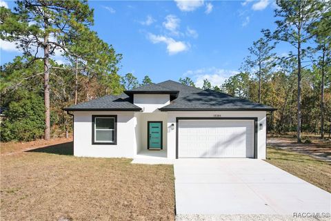 A home in Weeki Wachee