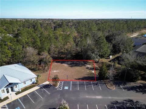 Vacant Land For Sale - 8427 S Suncoast Boulevard<br/> Homosassa, FL 34446