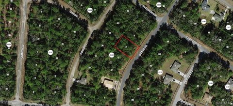 Vacant Land For Sale - 10834 N Haitian Drive<br/> Citrus Springs, FL 34434