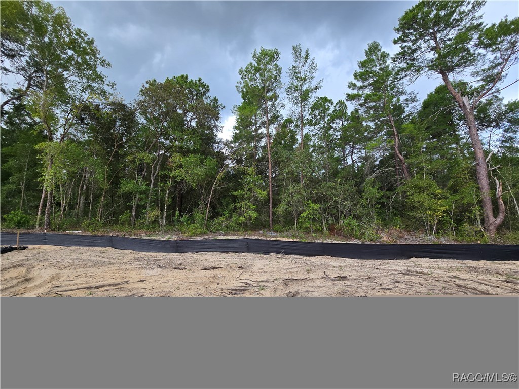 2617 Clearwood Street