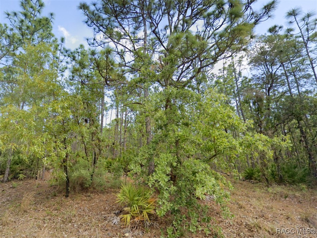 4930 N Sandpebble Point, Crystal River, Florida image 3