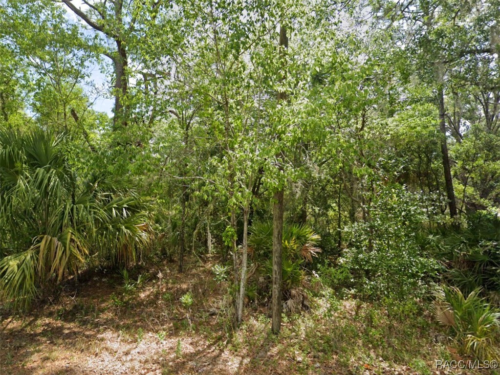 4930 N Sandpebble Point, Crystal River, Florida image 4